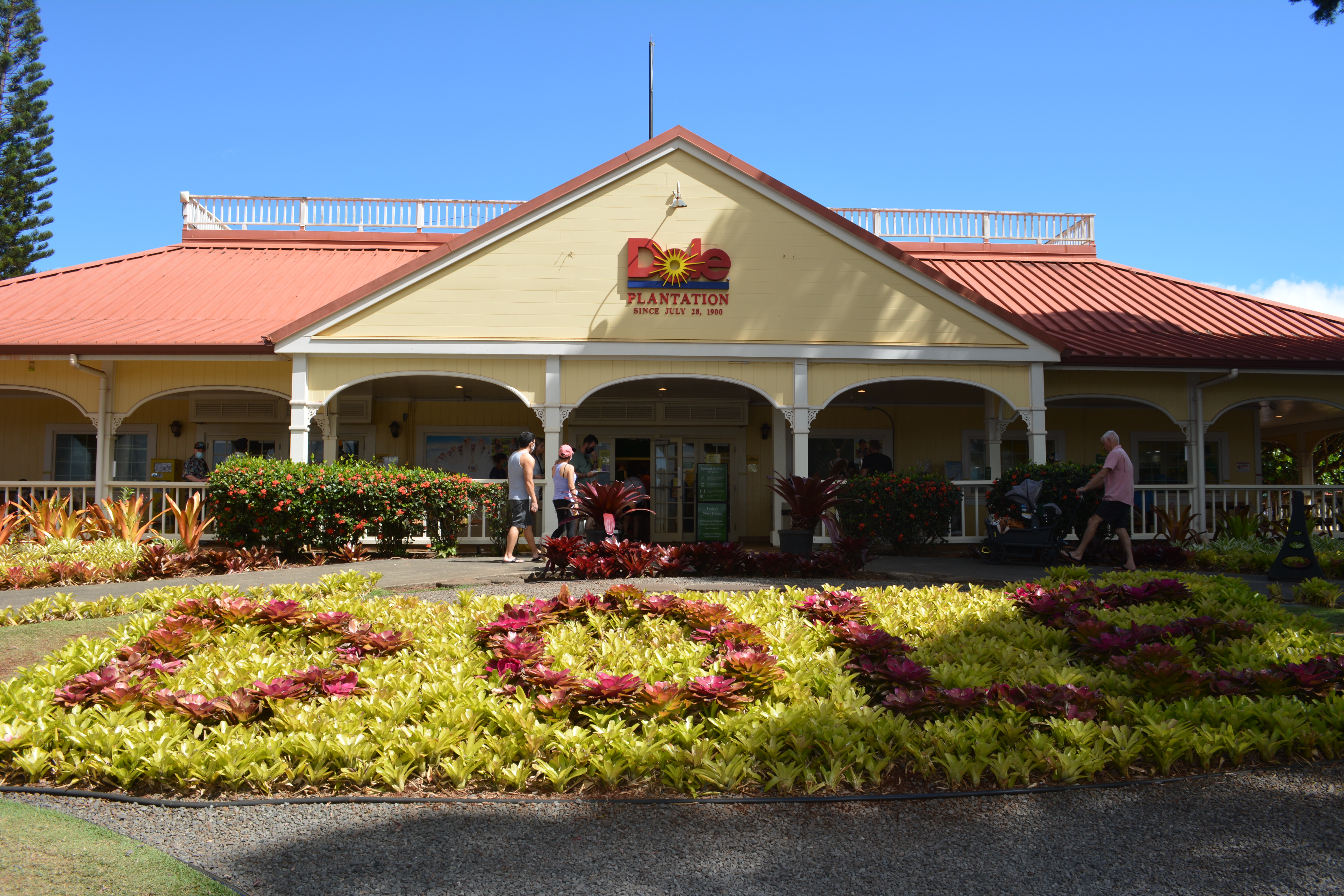 ドールプランテーション